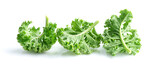 Kale leaves on white background