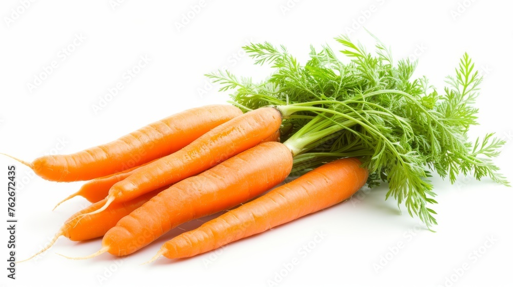 Bunch of fresh large carrots with thick green leaves on a white background Bunch of fresh large carrots with thick green leaves on a white background