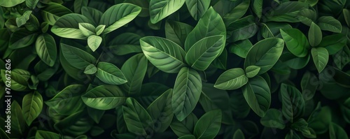 Full frame shot of lush green leaves  capturing the essence of nature in a vibrant background illustration.