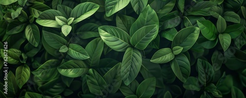 Full frame shot of lush green leaves, capturing the essence of nature in a vibrant background illustration.