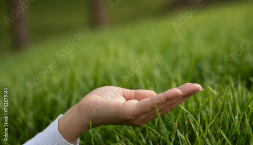 A person holding out their hand in the grass © Loliruri