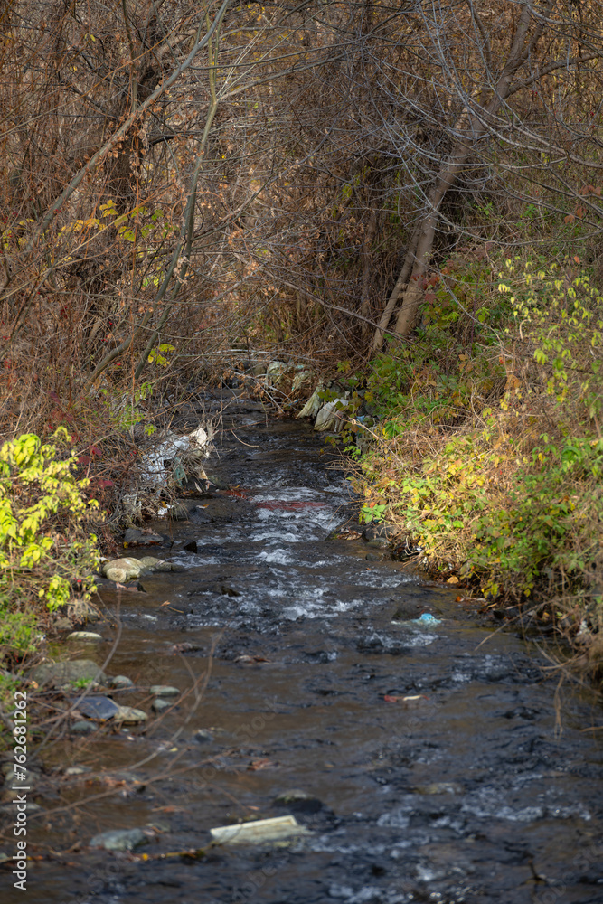 Autumn landscape with Vanadzor river and trees Autumn landscape with Vanadzor river and trees