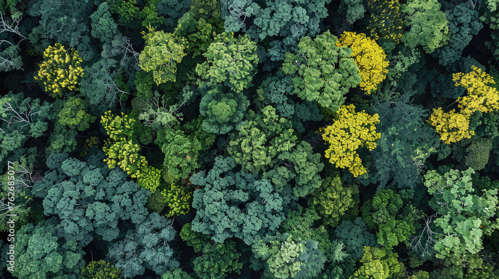 Visualizing Habitat Fragmentation Effectivement., news, illustration, image, article, newspaper Visualizing Habitat Fragmentation Effectivement., news, illustration, image, article, newspaper