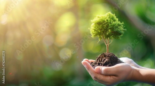 Nurturing Nature: Hand Holding a Young Tree, Copy Space