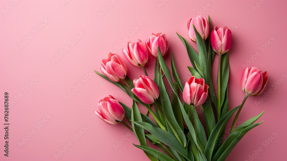 Vibrant Tulip Bouquet on Soft Pink Vibrant Tulip Bouquet on Soft Pink