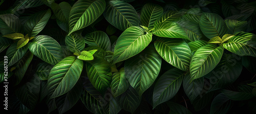 Detailed Green Leaves Composition