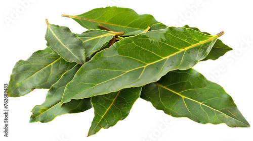 Culinary Bay Leaves Isolated on Transparent Background