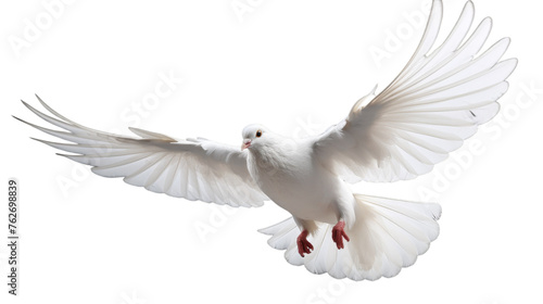A majestic white bird soars through the sky  its wings gracefully outstretched