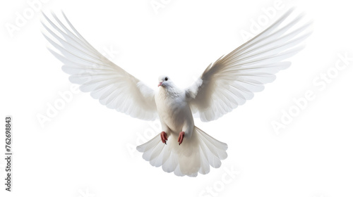 A majestic white bird soars through the air, displaying its wings in full spread photo
