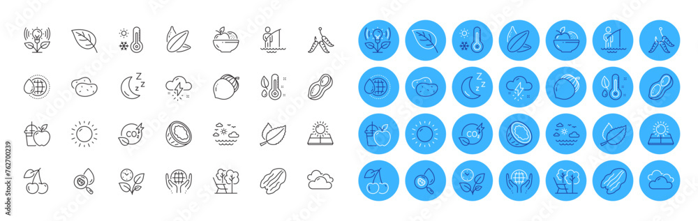 Deckchair, Cherry and Sunflower seed line icons pack. Sunny weather, Incubator, Water analysis web icon. Organic tested, Fruits, World water pictogram. Maggots, Cloudy weather, Co2 gas. Vector Deckchair, Cherry and Sunflower seed line icons pack. Sunny weather, Incubator, Water analysis web icon. Organic tested, Fruits, World water pictogram. Maggots, Cloudy weather, Co2 gas. Vector