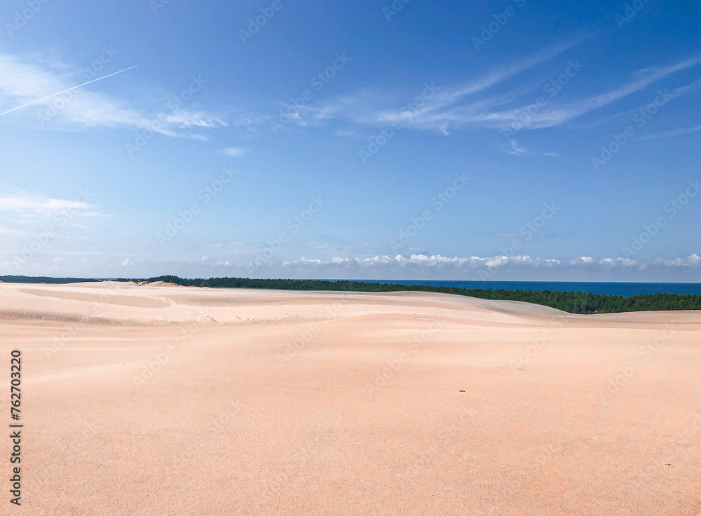 Fototapeta premium Polish desert nature dune in Poland
