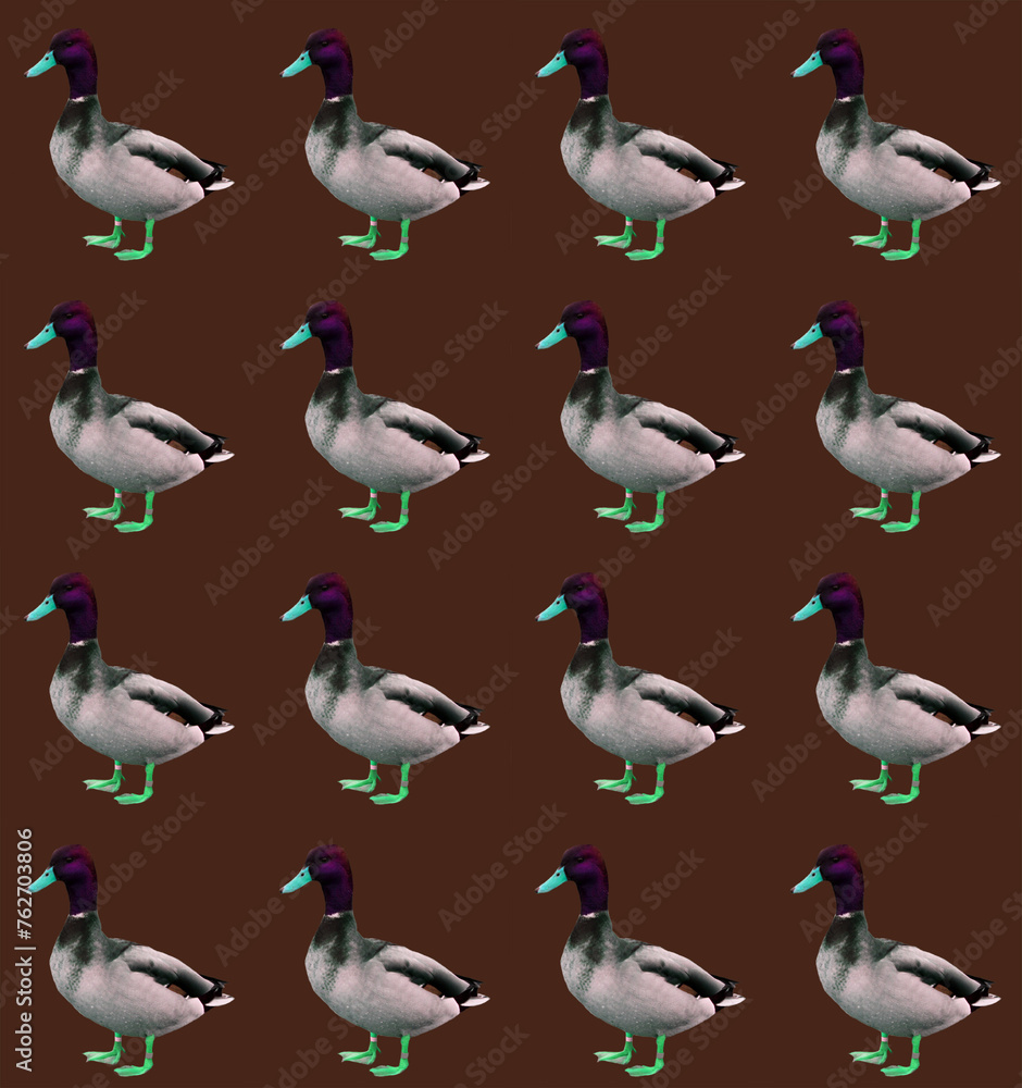 Obraz premium set of ducks