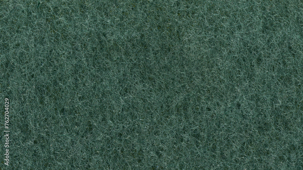 Green pattern on the surface of the natural material sponge. Abstract green fluffy background. Green pattern on the surface of the natural material sponge. Abstract green fluffy background.