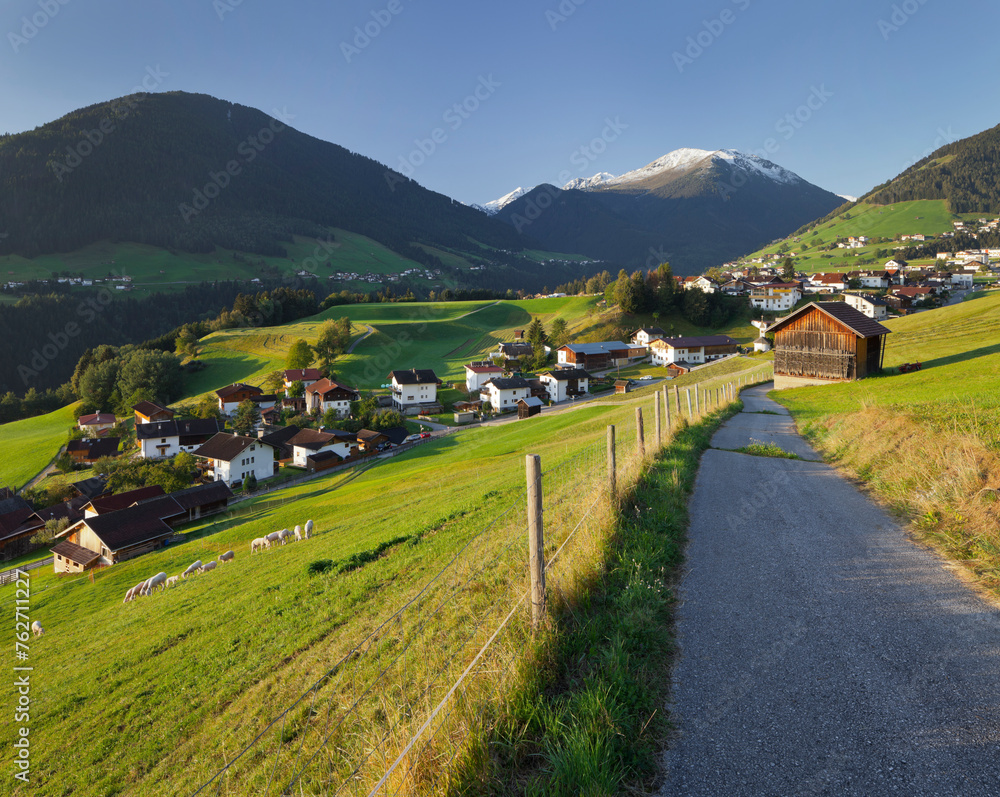 Aigling bei Innsbruck, Schafe, Strasse, Tirol, Österreich