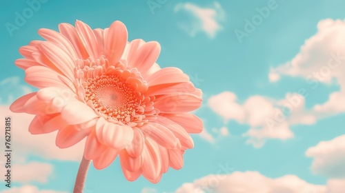 a large pink flower in front of a blue sky with puffy white clouds in the background and a single pink flower in the foreground.