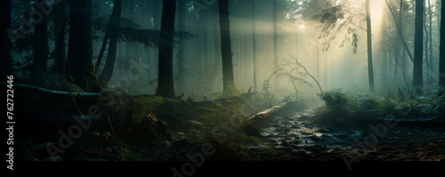 A foggy forest filled with numerous tall trees engulfed in mist. The thick fog creates an eerie atmosphere, obscuring the view of the surrounding landscape and emphasizing. Banner. Copy space