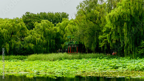 A classical Chinese pavilion surrounded by massive green trees and plants in a spacious garden of the old summer palace Yuanmingyuan in Beijing, China. photo