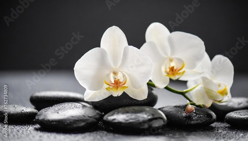 white orchid flowers on black stones