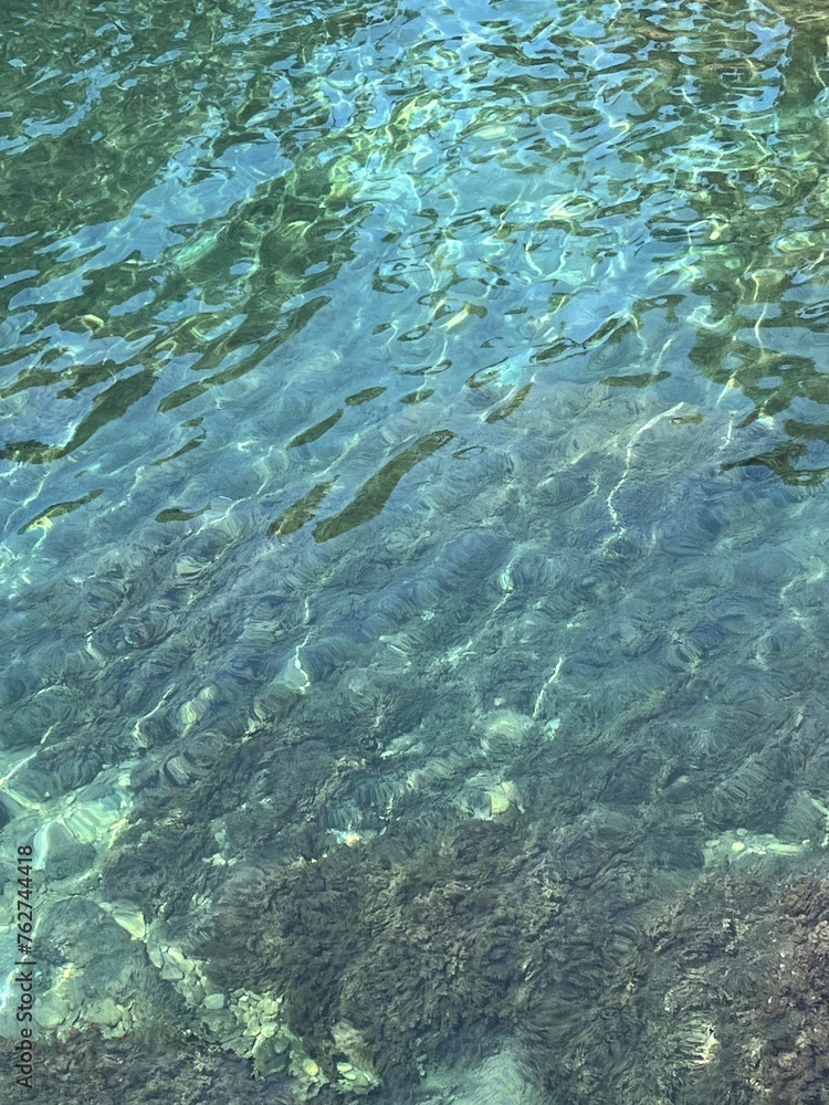 Clear sea turquoise water with algae. Clear sea turquoise water with algae.