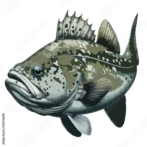 Closeup of fish with camouflage pattern, perfect for nature publications, fishing articles, and wildlife designs needing unique textures.