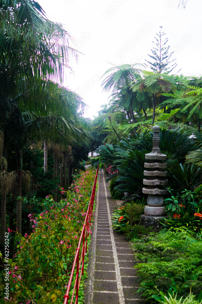 the park Madeira Island