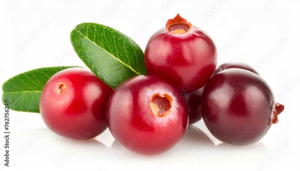 cranberry with leaf isolated on white background closeup macro cranberry with leaf isolated on white background closeup macro