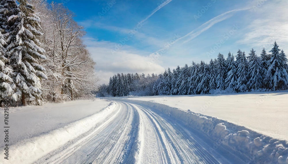 winter landscape of snowy road