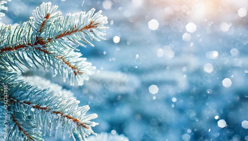 light blue christmas or new year festive background with frosty fir branches