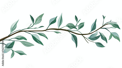 Branch with elongated leaves by hand engraving vect