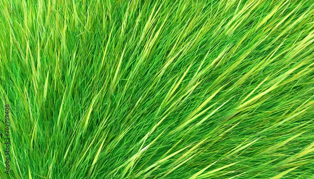 green grass natural background texture high resolution 3d rendering green grass natural background texture high resolution 3d rendering