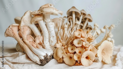 a group of mushrooms sitting on top of a white cloth on top of a white tablecloth covered in a pile of mushrooms.