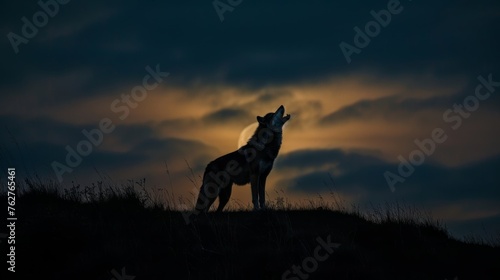 Dramatic Lone Wolf Howling at Moon Silhouette © AnimalAI