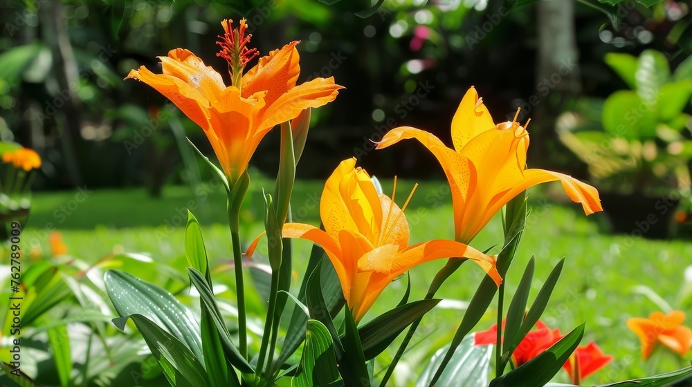 a group of orange flowers sitting on top of a lush green grass covered field next to a lush green forest. a group of orange flowers sitting on top of a lush green grass covered field next to a lush green forest.