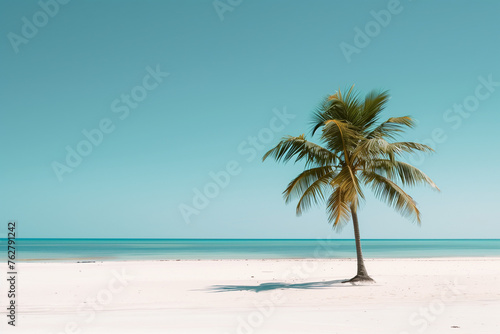 A minimalist beach scene with smooth sand, a single palm tree, and a clear, blue sky © EG Images