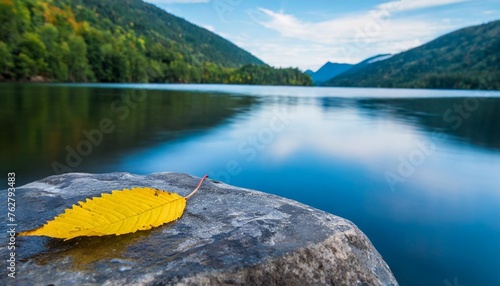 a single yellow leaf rests on a smooth gray rock in the middle of a calm blue water the rock and the leaf contrast with the blurred background of green trees and sky