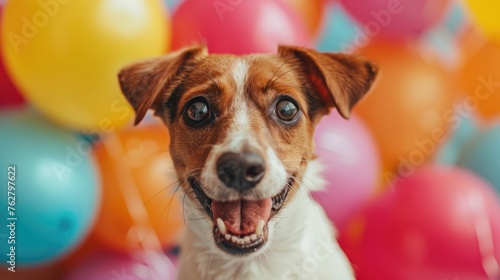 surprised dog on solid bright background with colorful balloons --ar 16:9 --style raw --stylize 300 Job ID: 20326768-ca8d-498b-ad61-78b6c3f71005 © hisilly
