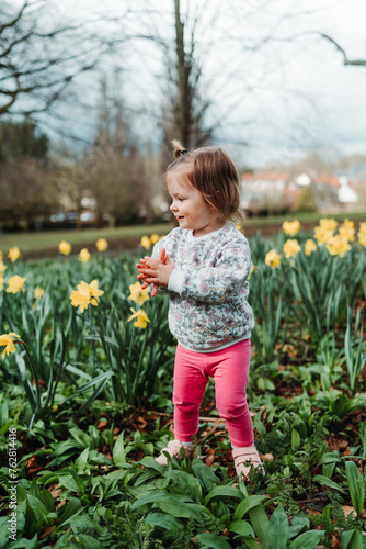 Little girl picking yellow daffodils