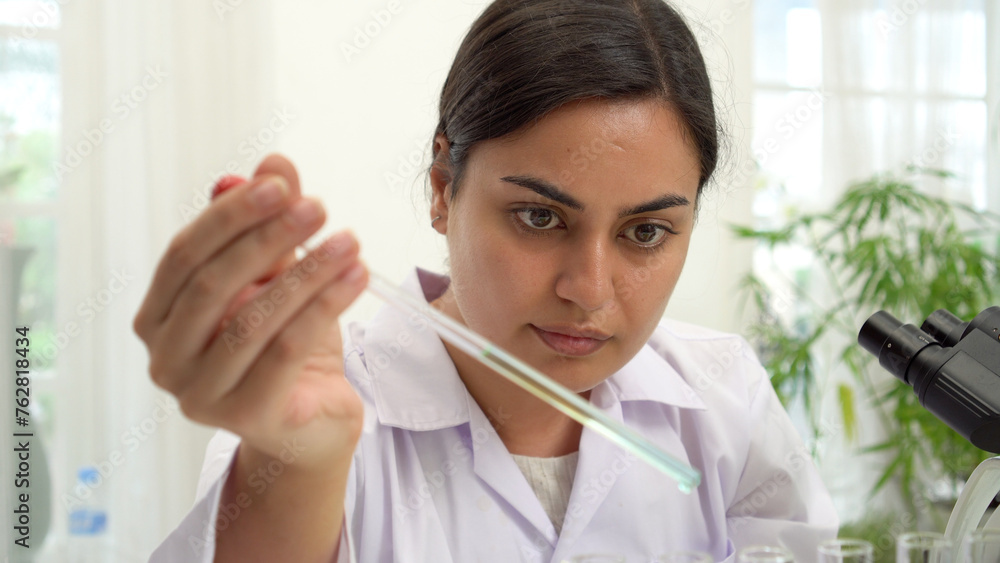 Researcher woman lab coat holding test tube looking research experiment at laboratory.Scientist worker female holding biology sample test tube chemistry equipment research healthcare.Select focus Researcher woman lab coat holding test tube looking research experiment at laboratory.Scientist worker female holding biology sample test tube chemistry equipment research healthcare.Select focus
