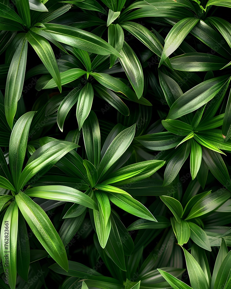 Tropical leaves background, top view of green leaves Tropical leaves background, top view of green leaves