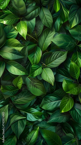 Tropical leaves background, top view of green leaves