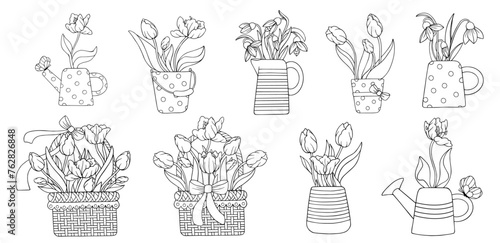 Collection of linear sketches of bouquets of spring flowers, tulips, snowdrops in holiday baskets, vintage garden watering cans. Vector graphics.