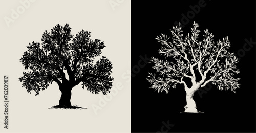 Silhouette of Serene Olive Tree, Vintage T-shirt vector Illustration. Generative AI.