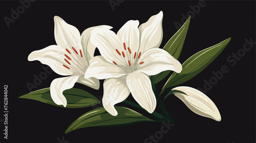 Illustration of lily flower. Beautiful decorative 