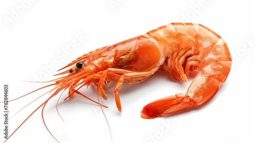 prawn shrimp side view healthy sea food on white isolated with clipping path