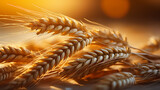 Close-up view of high quality wheat used in food production