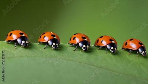 Ladybugs Marching In A Line Across A Leaf Upscaled 8
