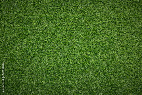 Fresh green grass as background outdoors, top view