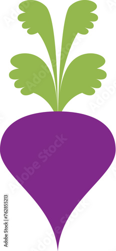 Flat design beetroot