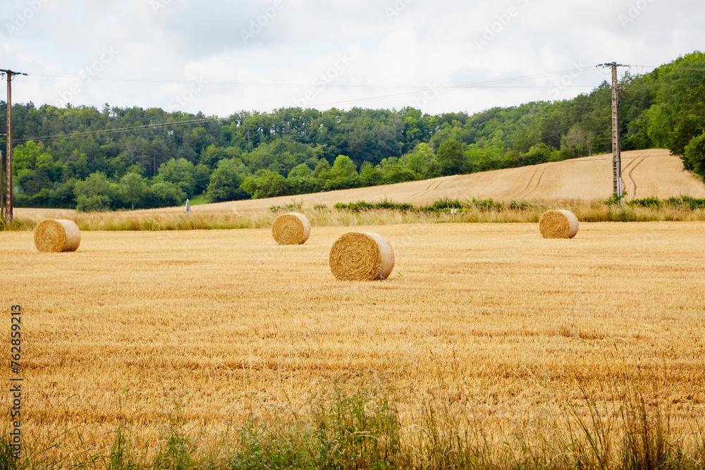 Rolls of Hay in a Field with Telephone Wires Running Through