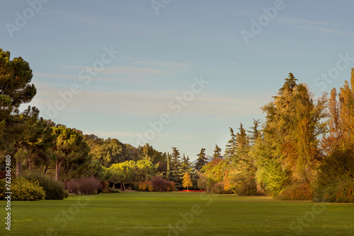 Beautiful landscape panorama in the Sigurta Landscape Park, near Lake Garda in Italy. A composition of trees with a perfect lawn. photo